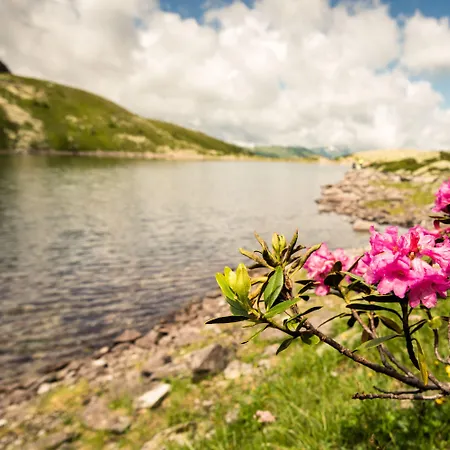 Germania Gastein - Ganzjaehrig Inklusive Alpentherme Gastein ホテル 4*