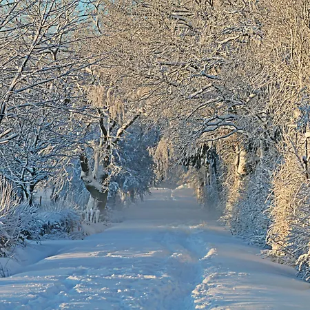 ホテル Germania Gastein - Ganzjaehrig Inklusive Alpentherme Gastein バート・ホーフガシュタイン