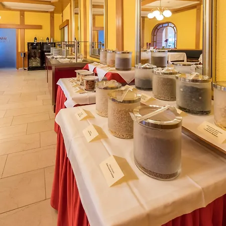 Germania Gastein - Ganzjaehrig Inklusive Alpentherme Gastein ホテル 4*