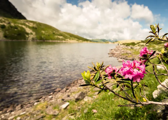 Germania Gastein - Ganzjaehrig Inklusive Alpentherme Gastein & Sommersaison Inklusive Gasteiner Bergbahnen Otel 4*